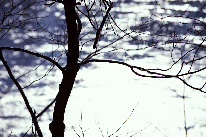 Illustration for article titled First Signs of Spring